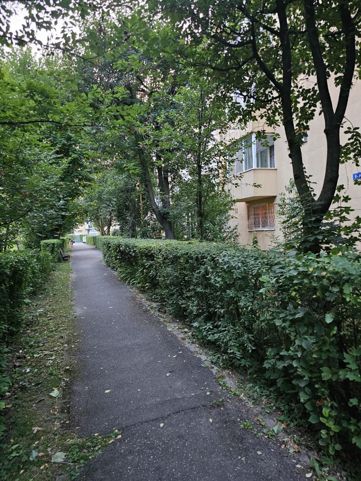 Saturn Studio Braszów Zewnętrze zdjęcie